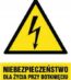 efa9c8de050a4487cbe8bc381a60b799.jpg