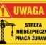 43c17f75a397fc67127c0d5f267bafdd.jpg